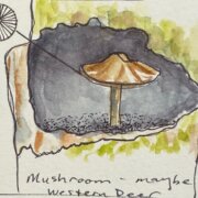 Fins under mushroom