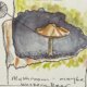 Fins under mushroom