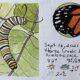 Milkweed Monarch Page